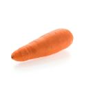 Fresh Carrot/kg