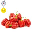 Fresh Hot Pepper Per Kg