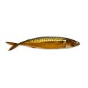Smoked Mackerel 400-600 [MOA FOODS]