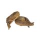 Ades Smoked Barracuda Fish Per Kg