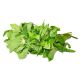 Fresh Bitter Leaf Big Bunch (Togo)