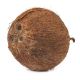 Fresh Coconut