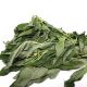 Fresh Green Leaf (Tete) Bunch
