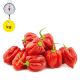 Fresh Hot Pepper Per Kg