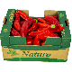 Fresh Long Red Pepper Box 4kg