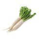 Fresh Raddish White (Mooli)/kg