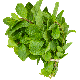 Fresh Scent Leaf Bunch