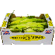 Fresh Sweet Corn Box X 20 pcs