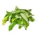 Fresh Green Leaf (Tete) Big Bunch (Togo)