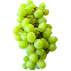 Fresh Green Grape 500g