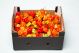 Fresh Hot Pepper Box 2.7kg