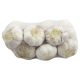 Fresh Garlic Big Pack