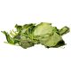 Fresh Utazi Leaf Bunch