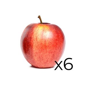 Fresh Apple pack of 6