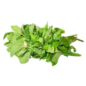 Fresh Bitter Leaf Big Bunch (Togo)