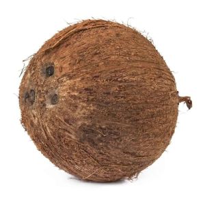 Fresh Coconut