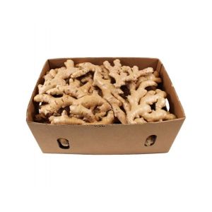 Fresh Ginger Box