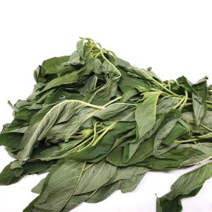 Fresh Green Leaf (Tete) Bunch 