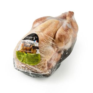Guinea Fowl