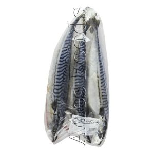 Frozen Mackerel Fish 1kg