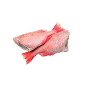 Red Bream Fish (300-500) Per KG