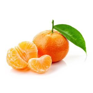 Satsuma (NADORCOTTS)