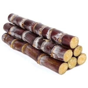 Fresh Sugar Cane Stick