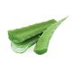 Fresh Aloe vera per Kg