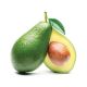 Avocado Fruit