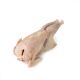 Fresh Whole Hard Boiler Chicken 
