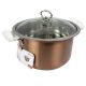 Stainless Steel StockPot 22cm Gems Axinite (7710)