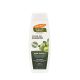 Palmer's Olive Oil Shampoo 400ml (Poo07)