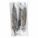 Frozen Catfish (800+) 2.5kg