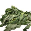 Fresh Green Leaf (Tete) Bunch 