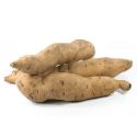 Sweet Potato White Per Kg